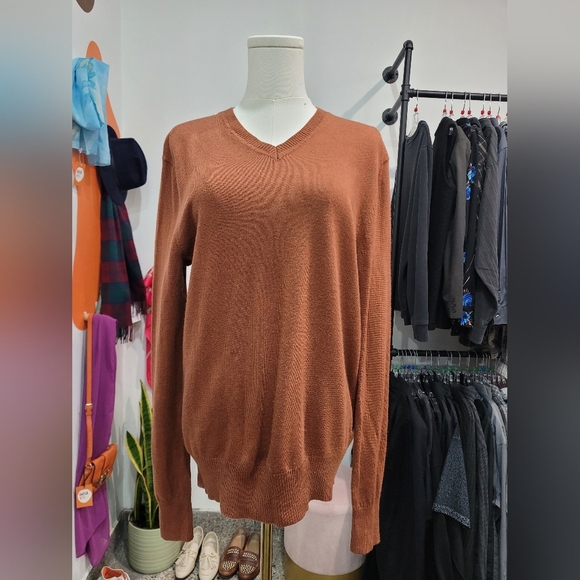 Banana Republic Sweaters - Banana Republic V-Neck Merino Wool Sweater in Warm Brown